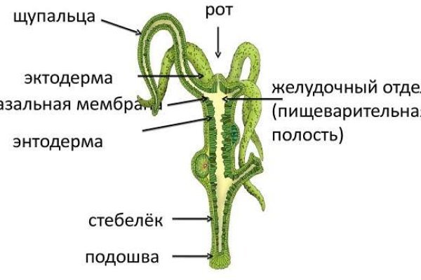 Омг площадка тор